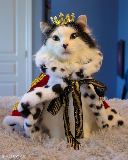 King Oreo