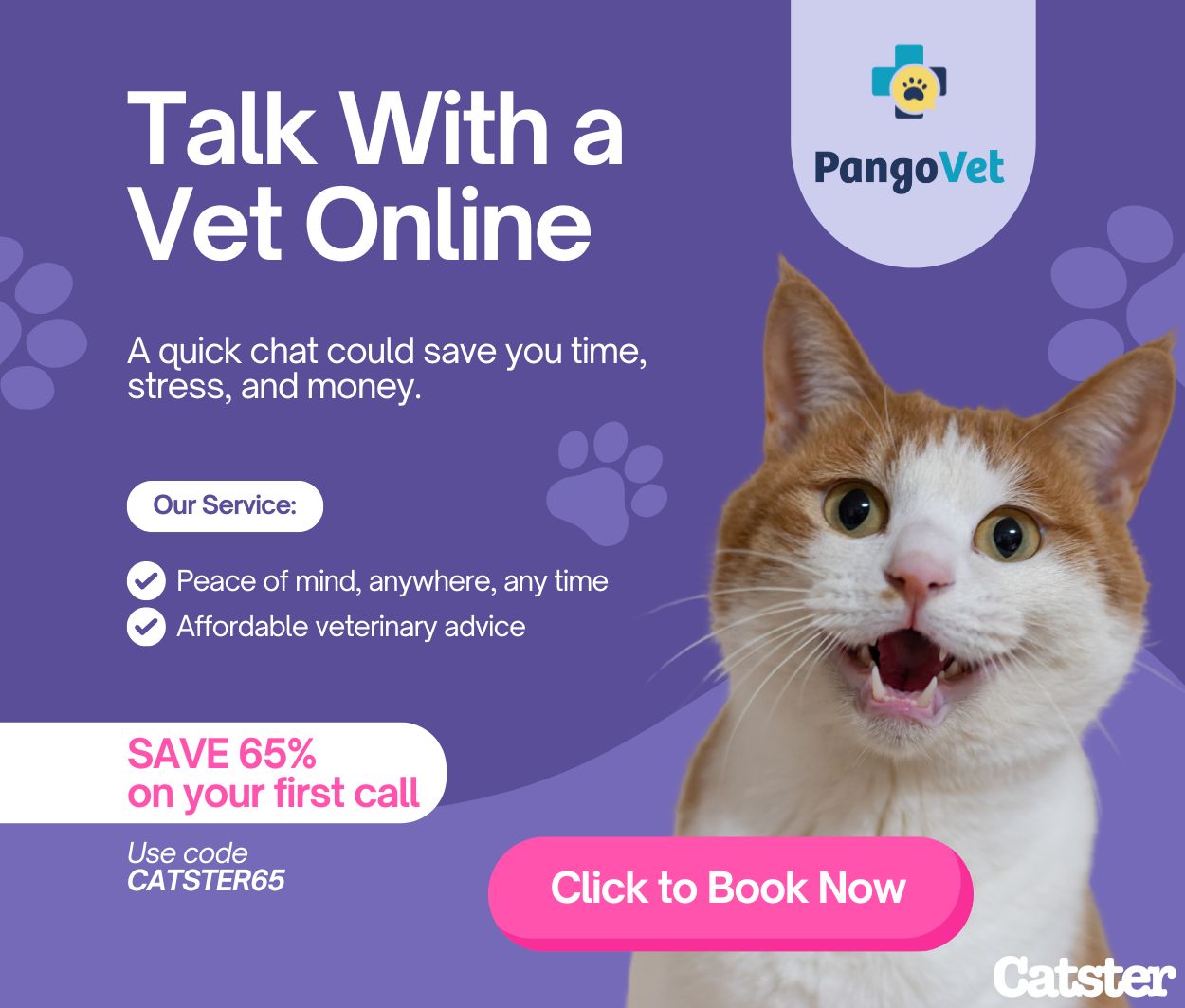 PangoVet_Mention-in-Content for PangoVet2 save money