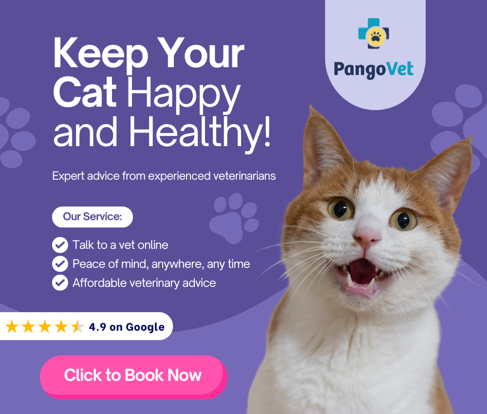 PangoVet_Mention-in-Content for PangoVet2 save money