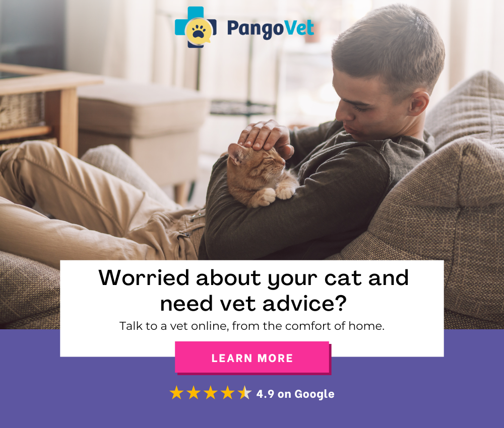 PangoVet_Mention-in-Content for PangoVet2 save money