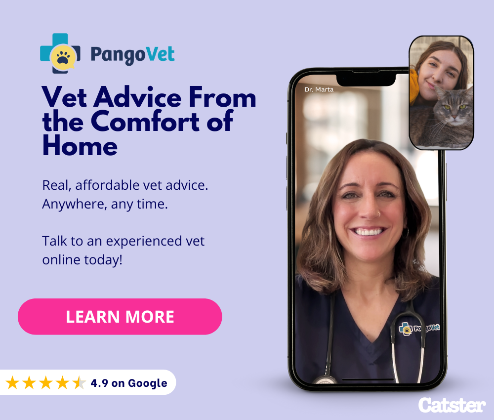 PangoVet_Mention-in-Content for PangoVet2 save money