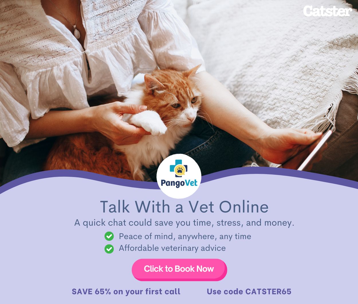 PangoVet_Mention-in-Content for PangoVet2 save money