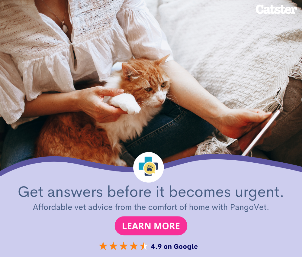 PangoVet_Mention-in-Content for PangoVet2 save money
