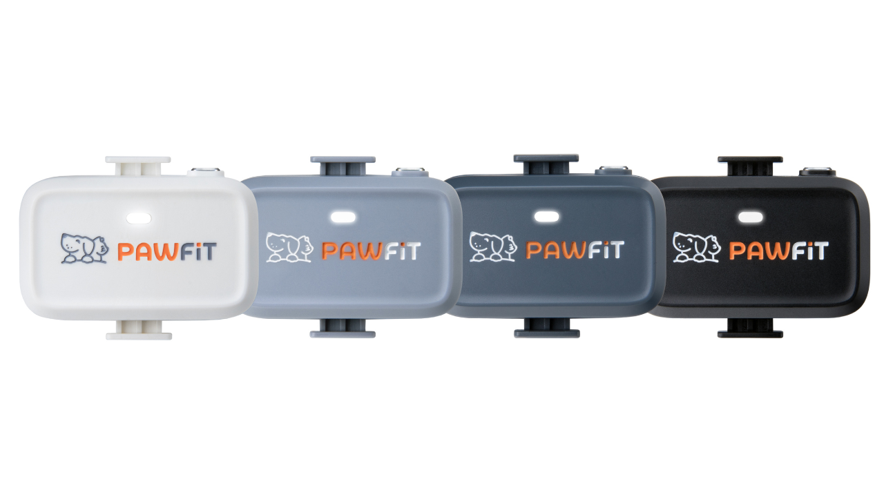 Pawfit 6a