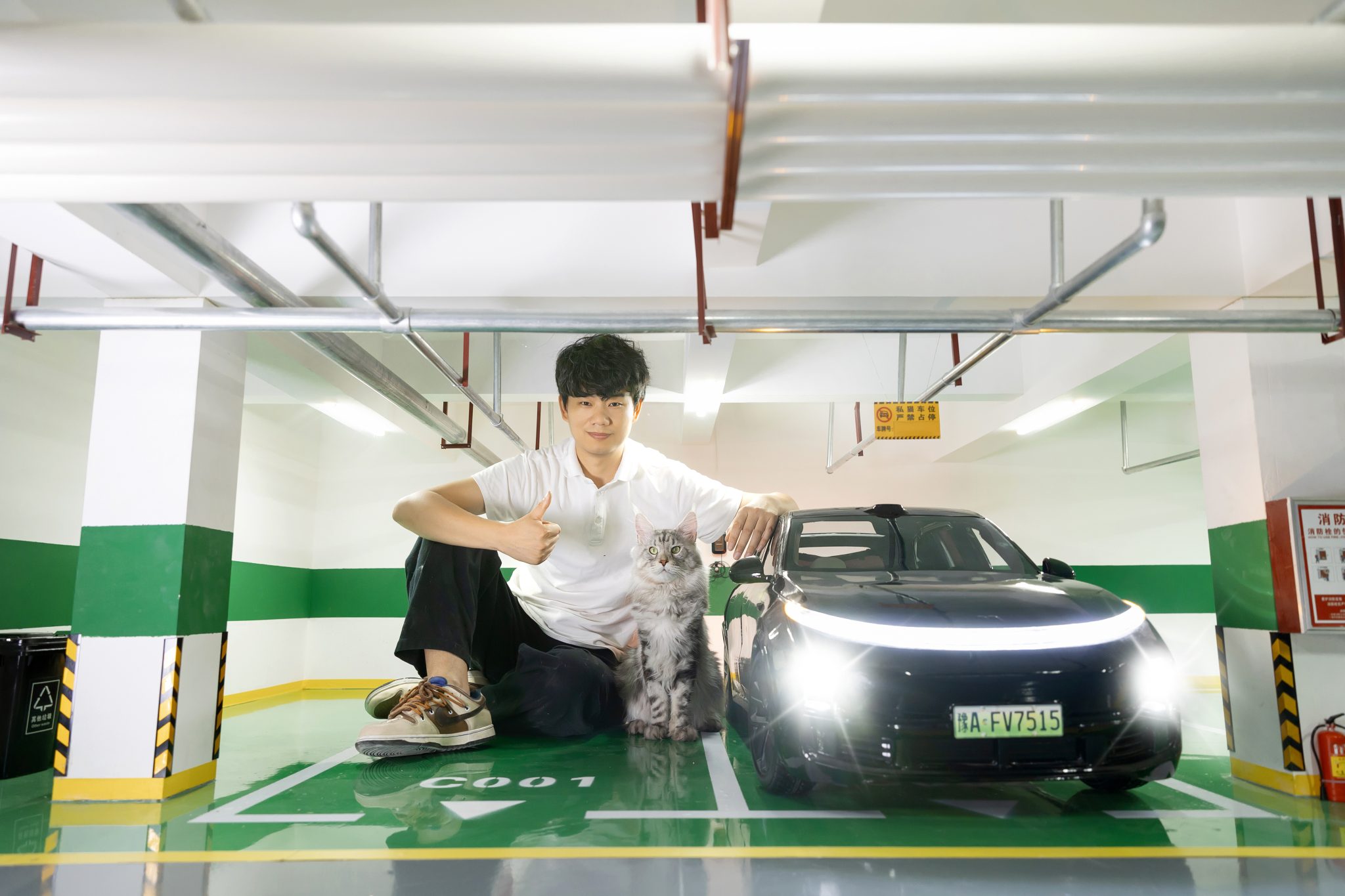 You need somewhere to park your cat car-1