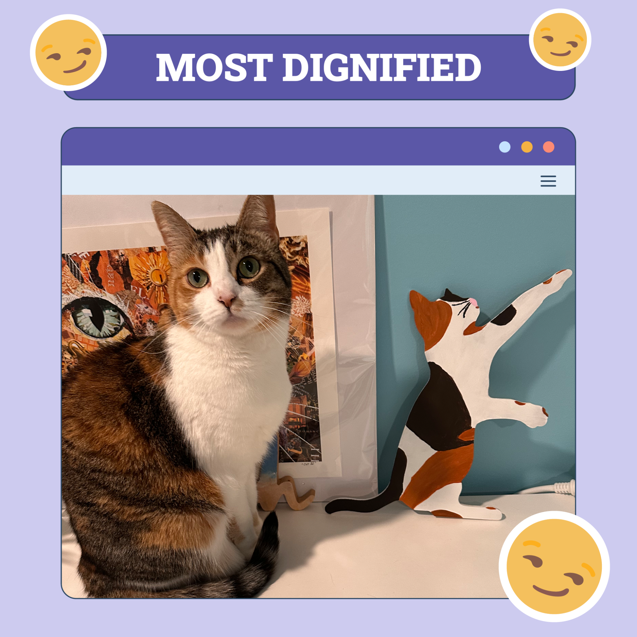 catster photo contest dignified 21 8 25 scaled