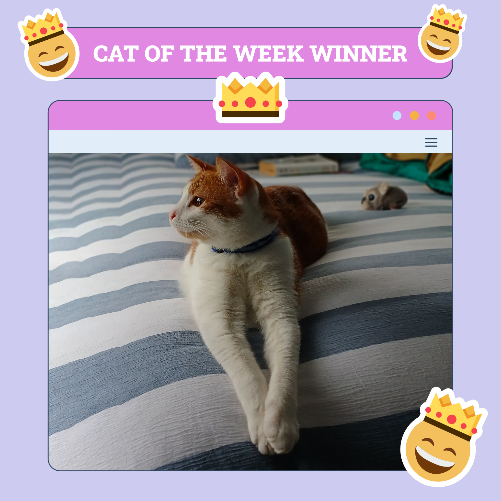 catster photo contest winner 7 aug 25 scaled