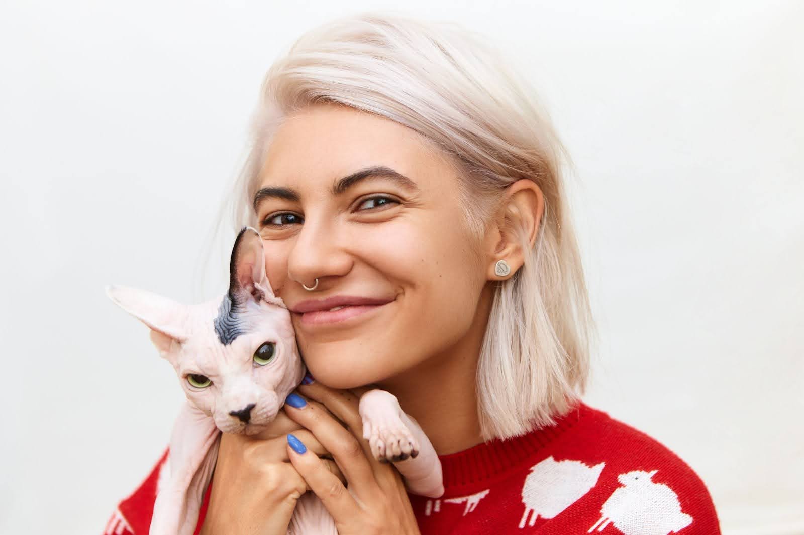PurebredKitties.com 1