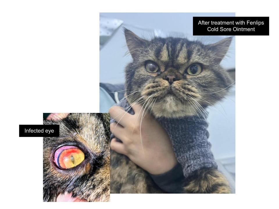 Before and After Using Fenlip Cold Sore Cream