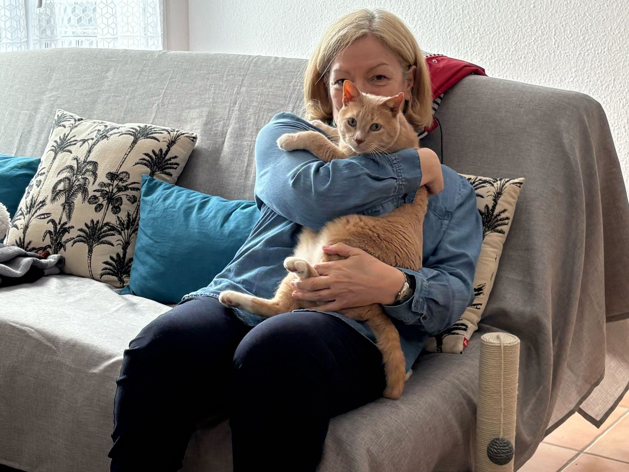 The place No Hepper Is Hopeless: Inside of Tabby’s Position, the Sanctuary Saving Forgotten Tom cats 4 Gisele and Julien reunited in France