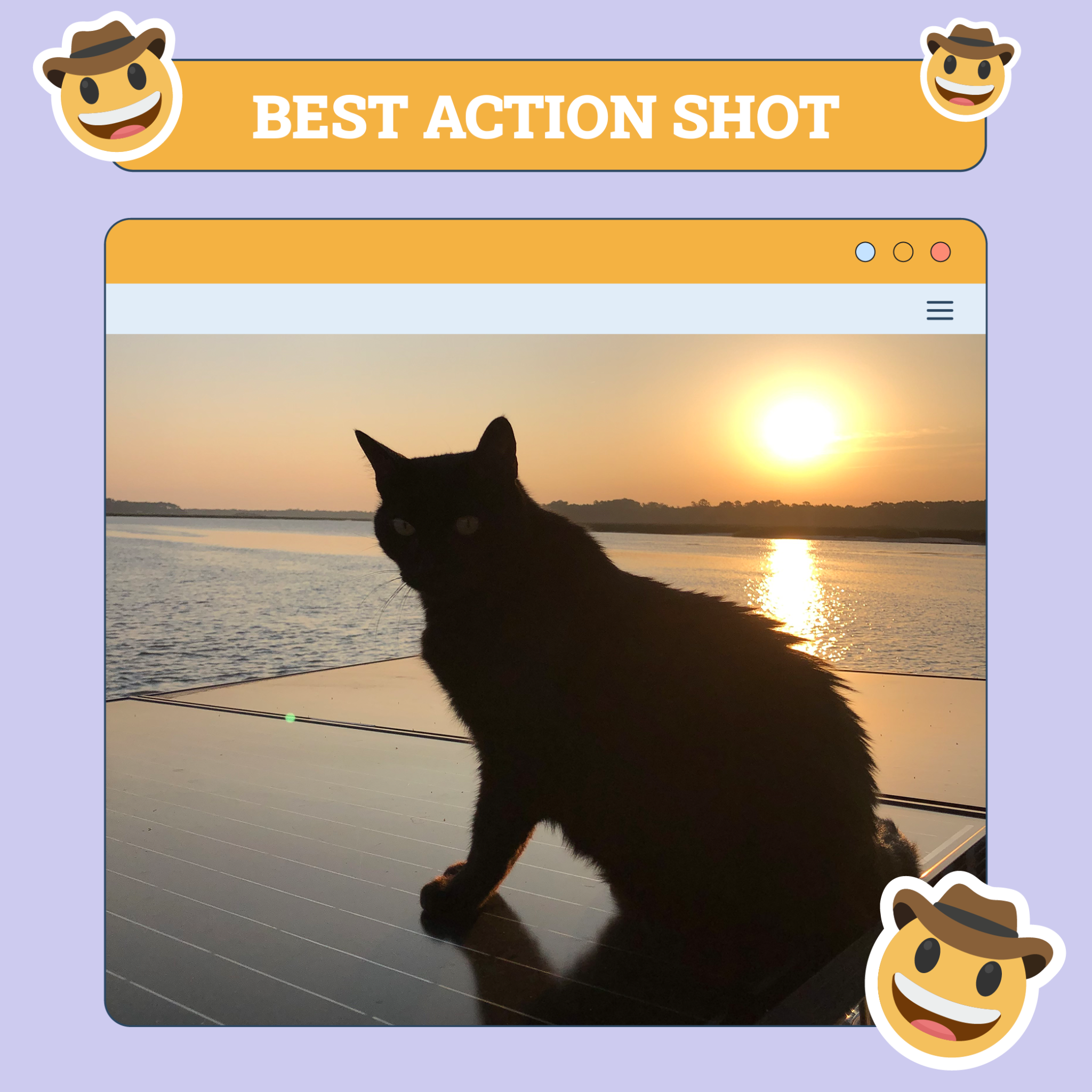 catster photo contest action 2 10 25 scaled