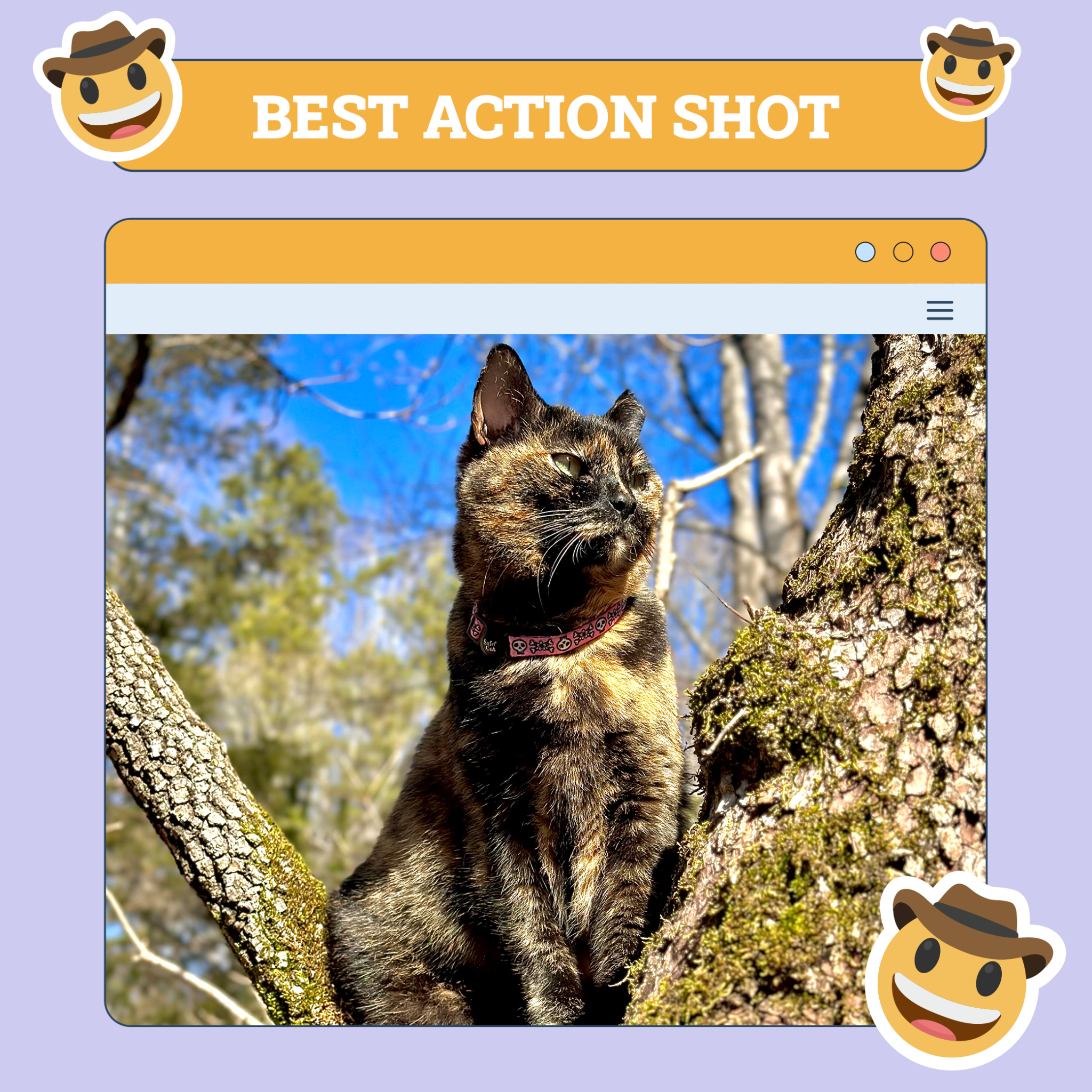 catster photo contest action 23 10 25 scaled