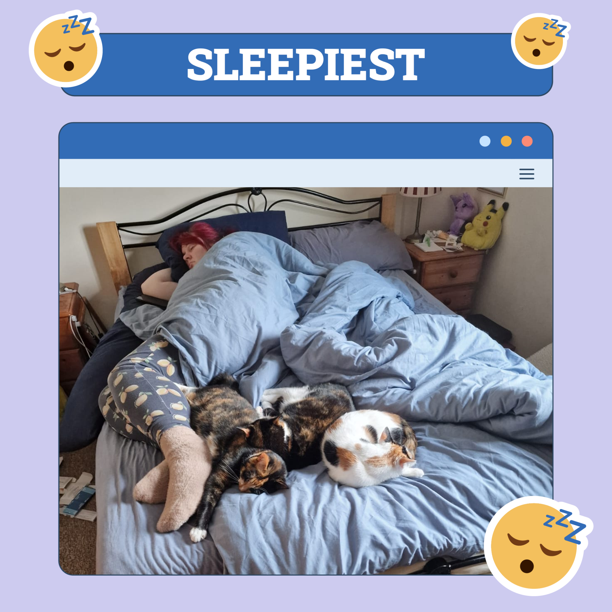 catster photo contest sleepiest 23 10 25 scaled