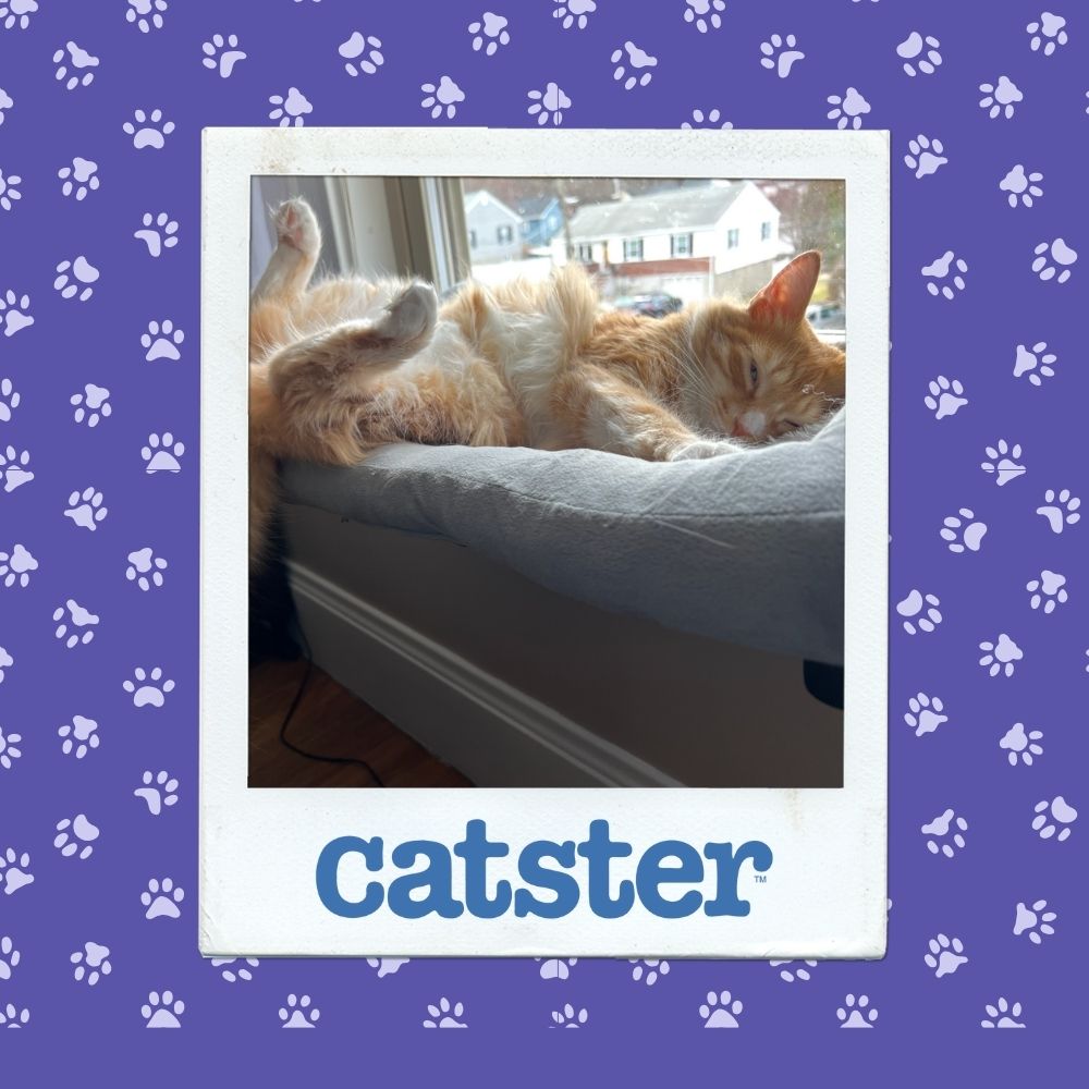 10November 20thh Winner