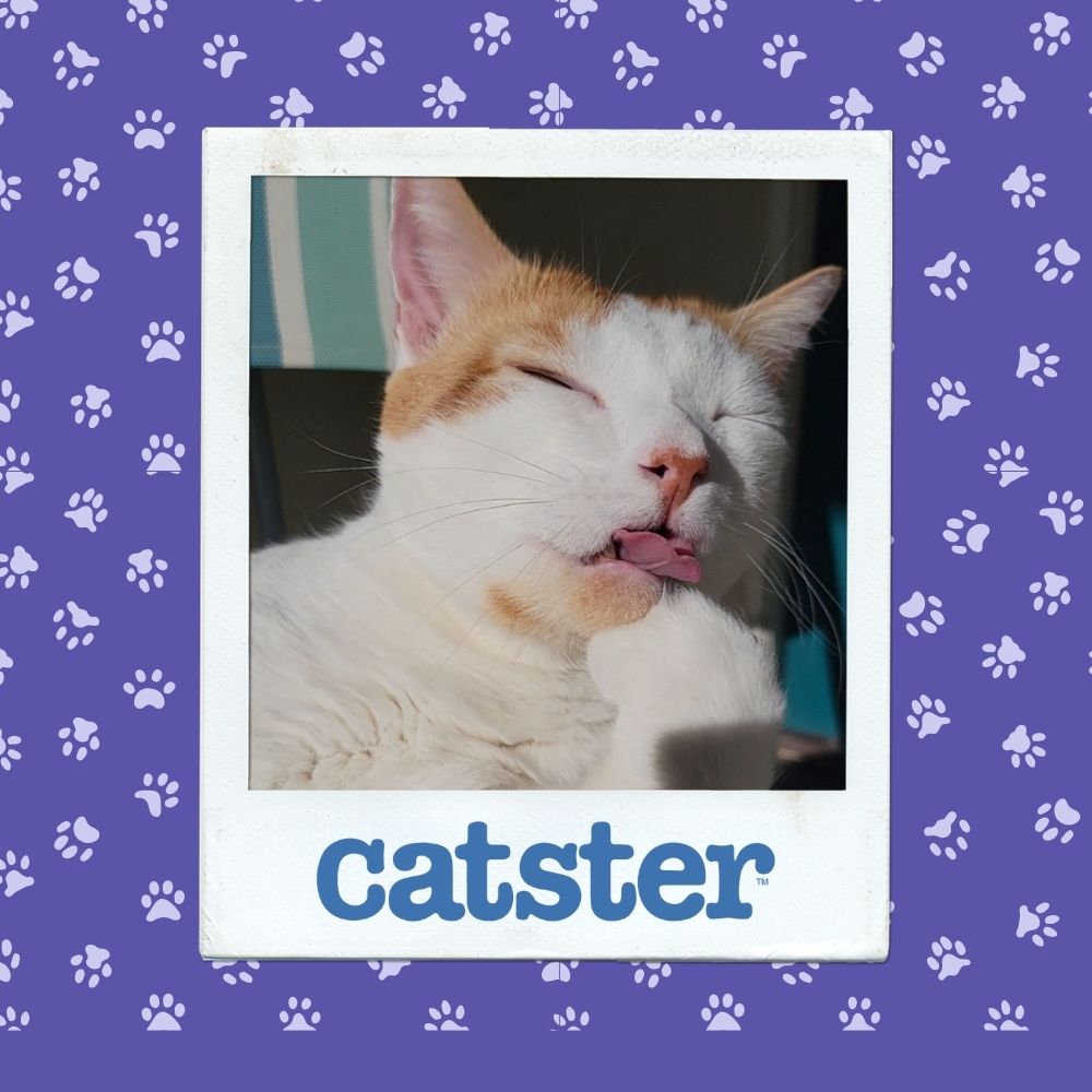 11November 20thh Winner