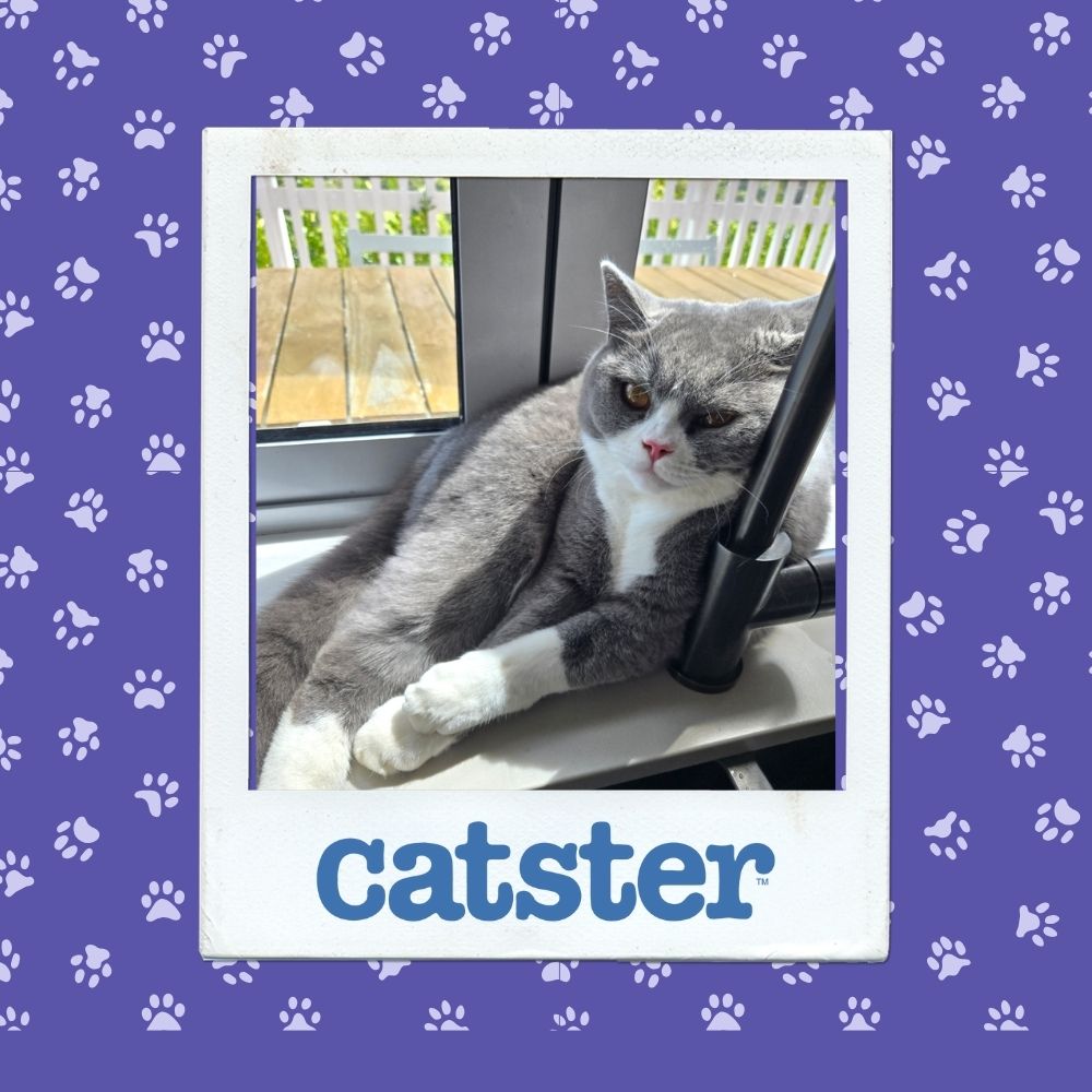 13November 20thh Winner