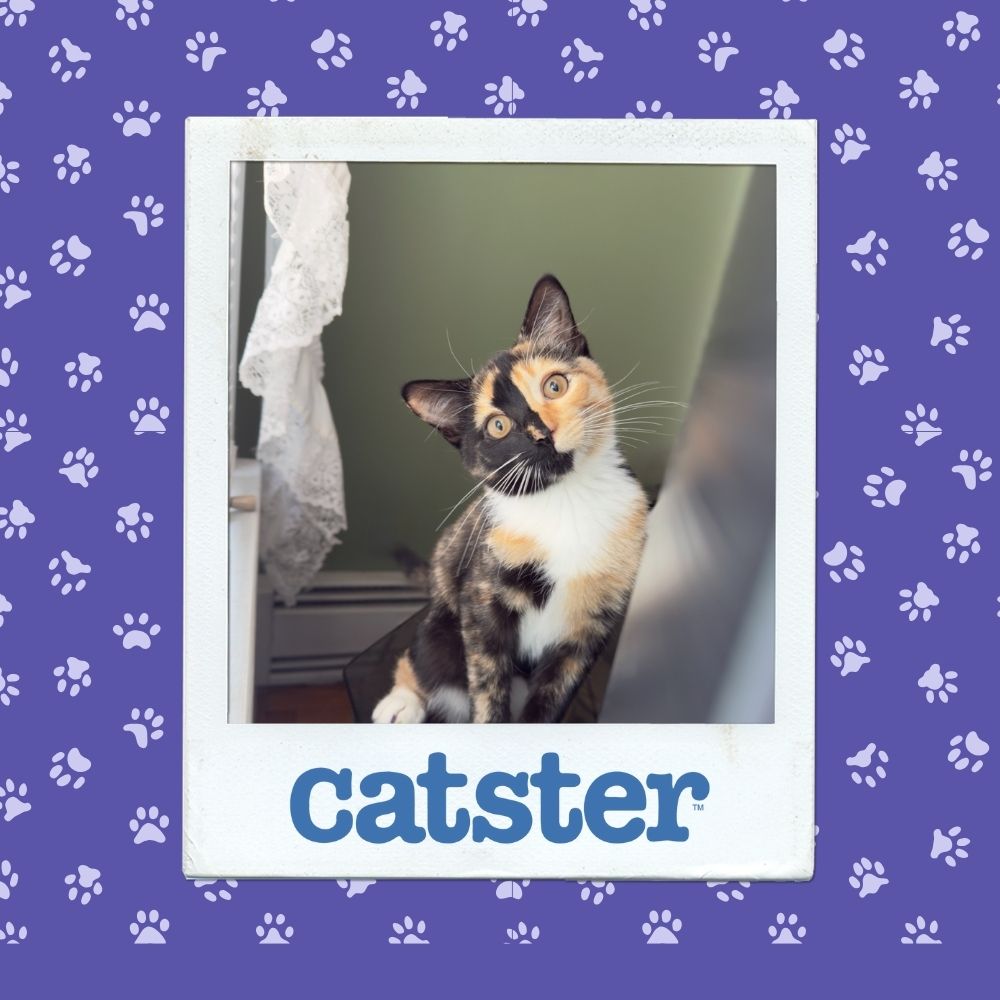 9November 20thh Winner