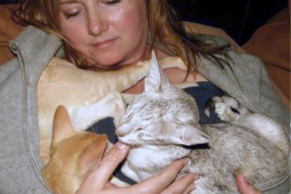 Breaking Mews - How a Cat Food Tragedy Led to CatCrazy’s Mission to Protect Others - 1 Wazoo and Chopin