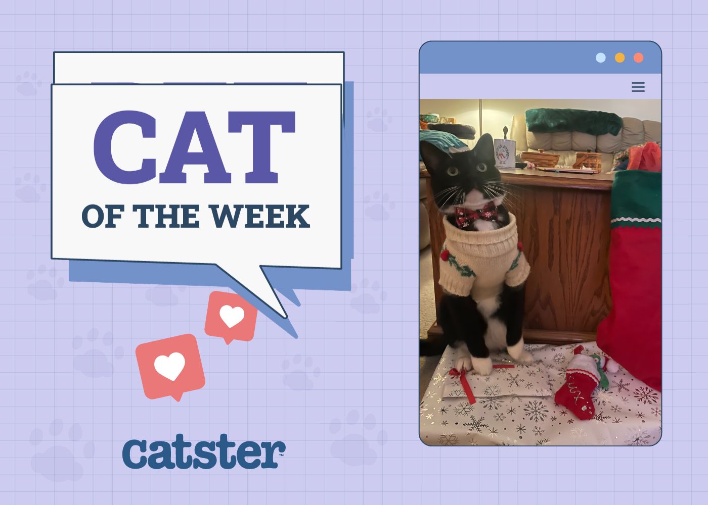 nov 20 featured image