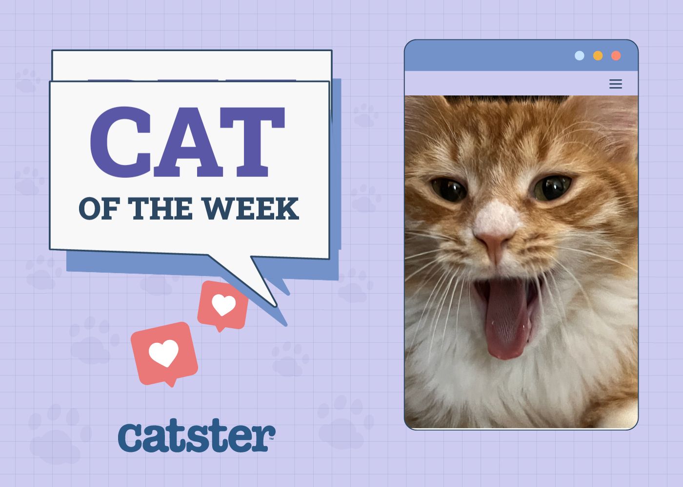 Nov 13 featured image