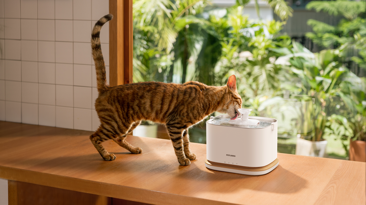 Petlibro - Dockstream 2 Smart Cordless Fountain