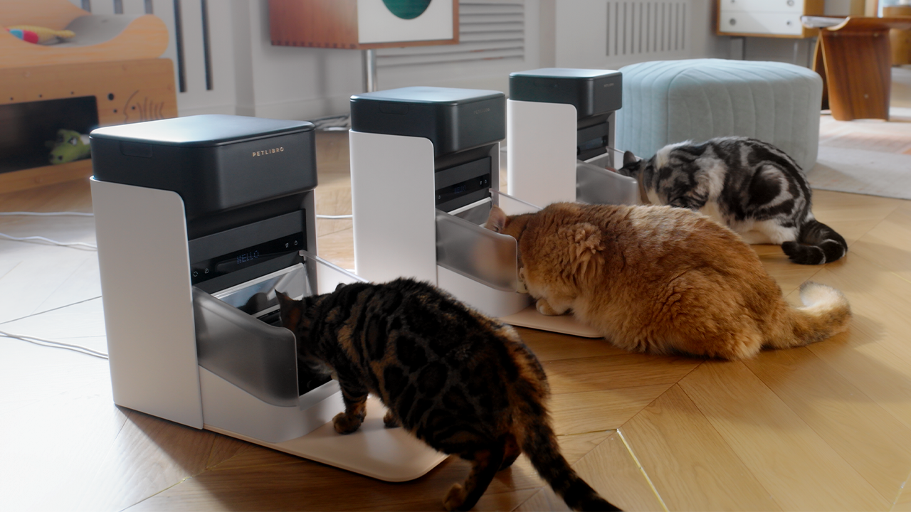 Petlibro - One RFID Smart Feeder