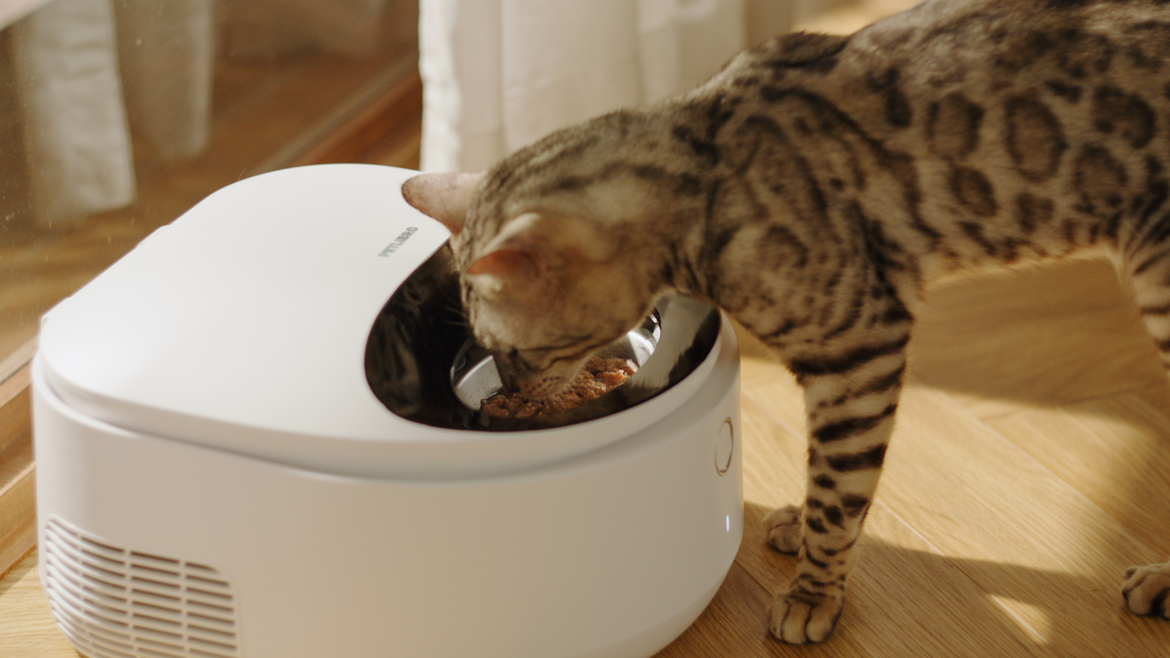 Petlibro - Polar Smart Wet Food Feeder
