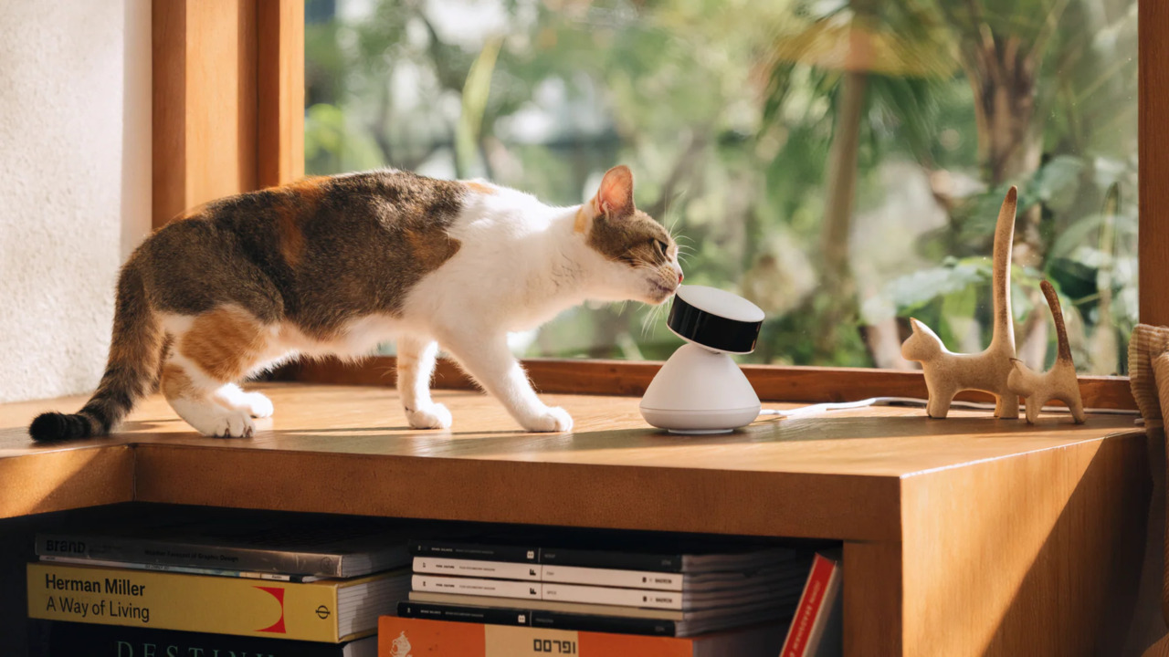 Petlibro - Scout Smart Camera