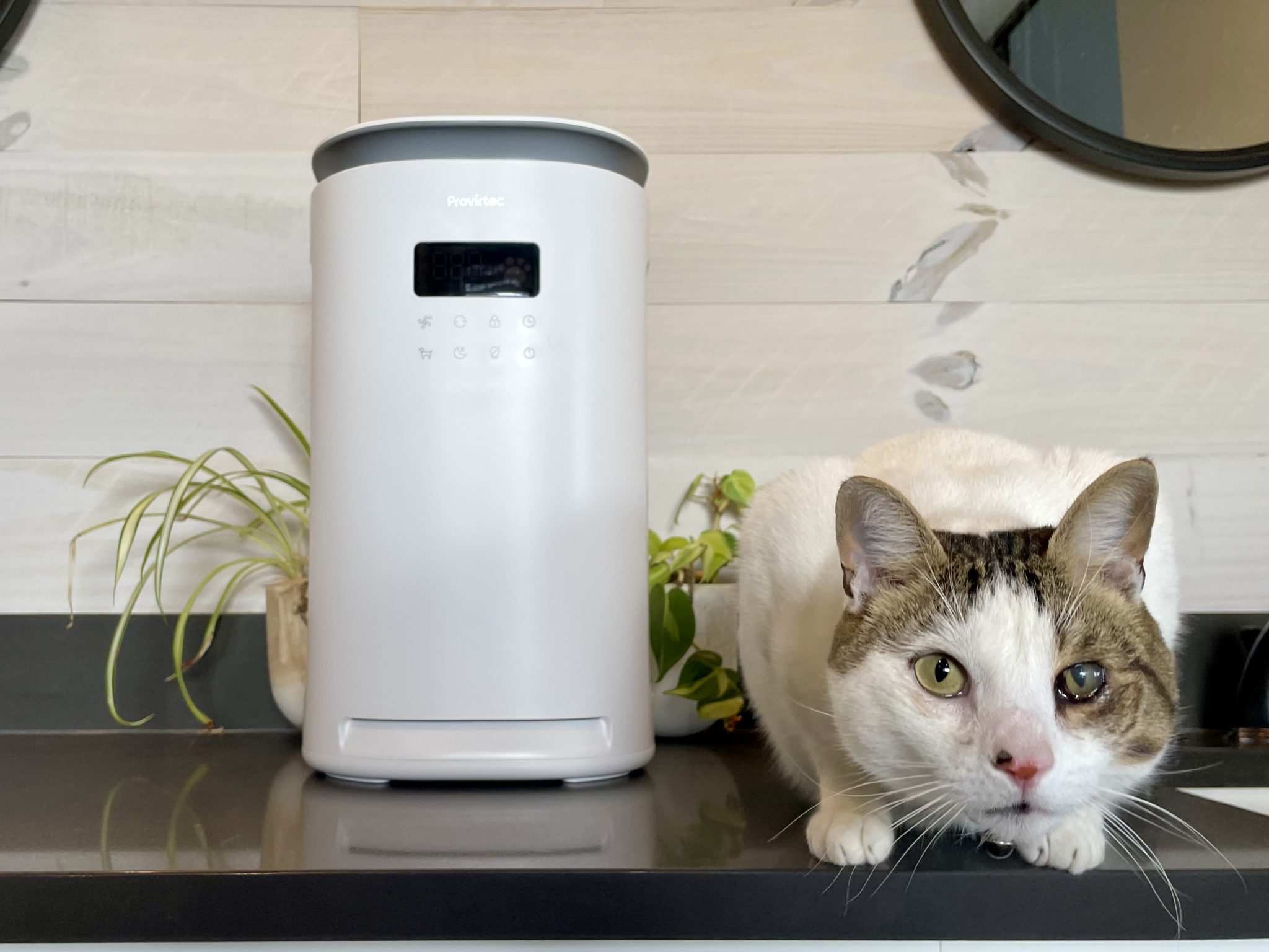 Provirtec HEPA Air Purifier AP-12 Review 3