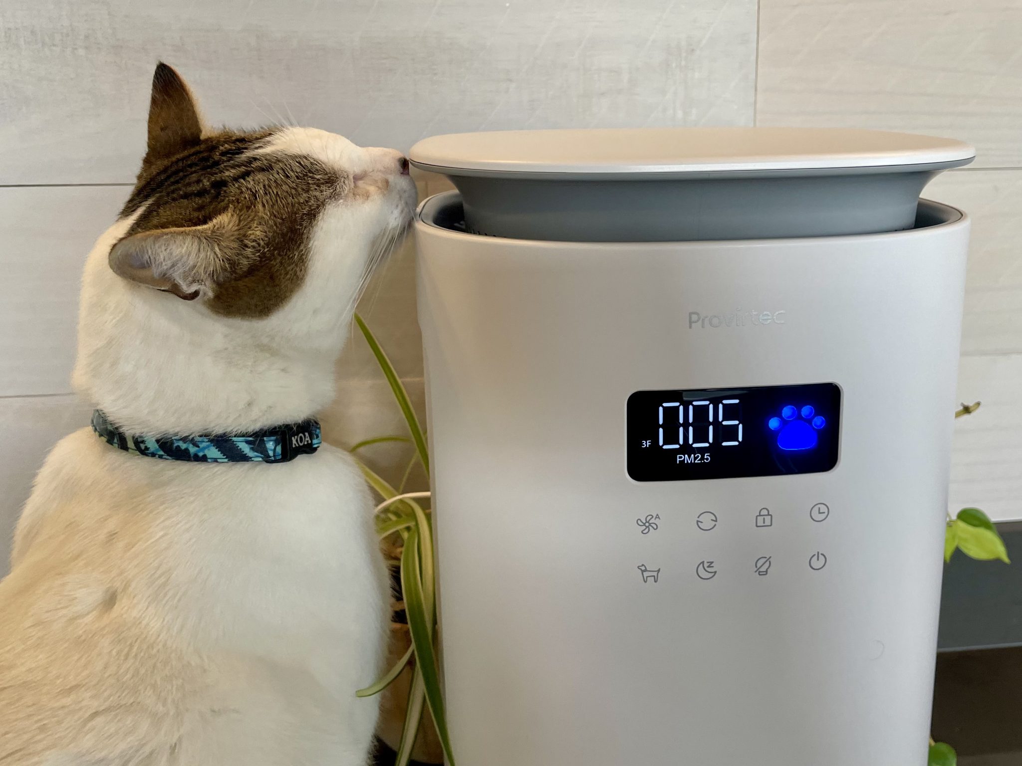 Provirtec HEPA Air Purifier AP-12 Review 4