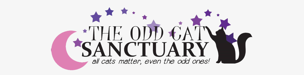 Heroes of the Pet World The Odd Cat Sanctuary 1