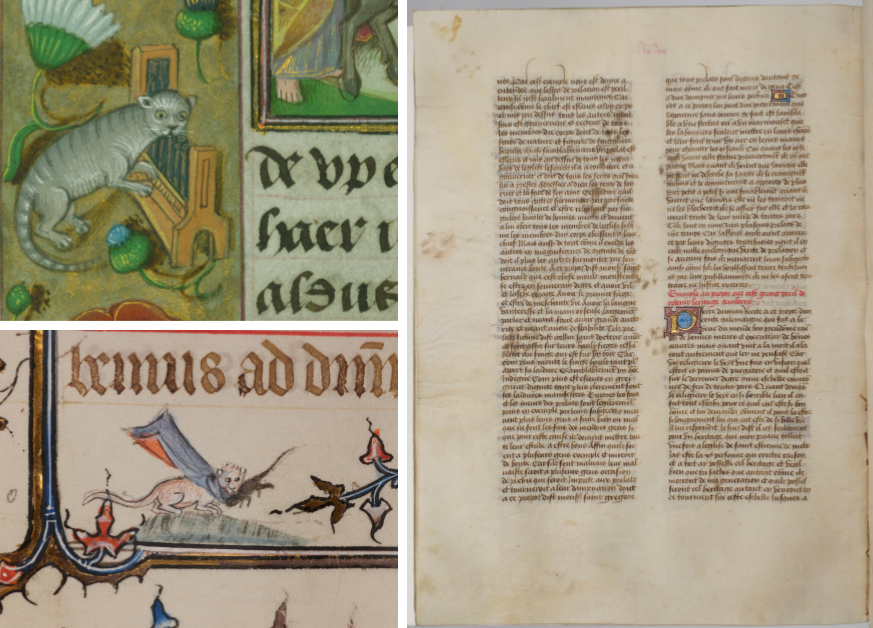 Paws on Parchment - Proof That Cats Have Been _Helping_ Writers for Centuries Cats on page