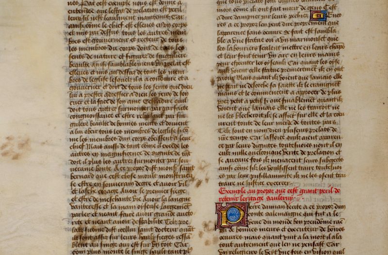 Paws on Parchment - Proof That Cats Have Been _Helping_ Writers for Centuries Lead image - Paws across the ages