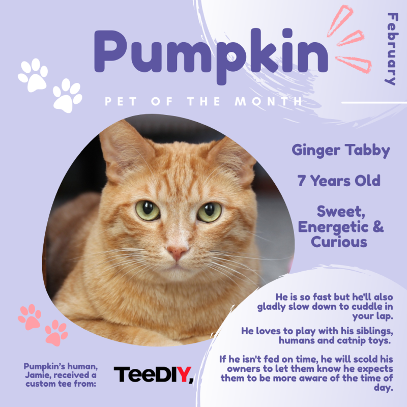 CAT POTM - Past Winner Feature for Signup Page