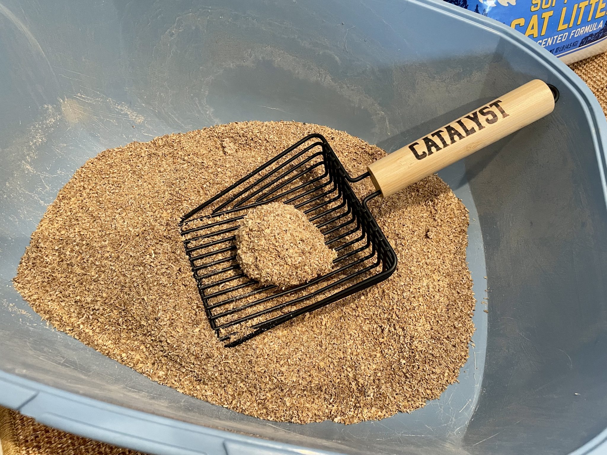 Catalyst Cat Litter Review_ Our Expert’s Opinion 2026 - 4