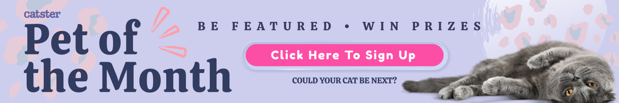 Catster pet of the month Home Page Banner