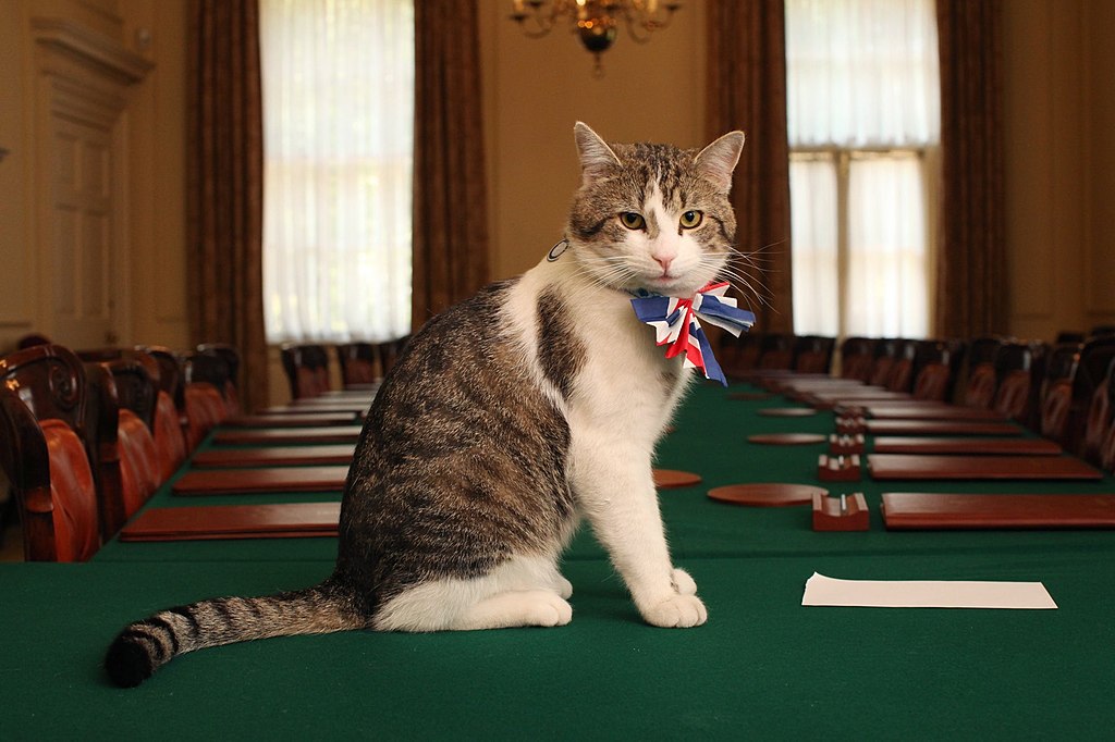 Celebrating 15 Years as the Most Popular Resident of No. 10 Downing Street – Catster
