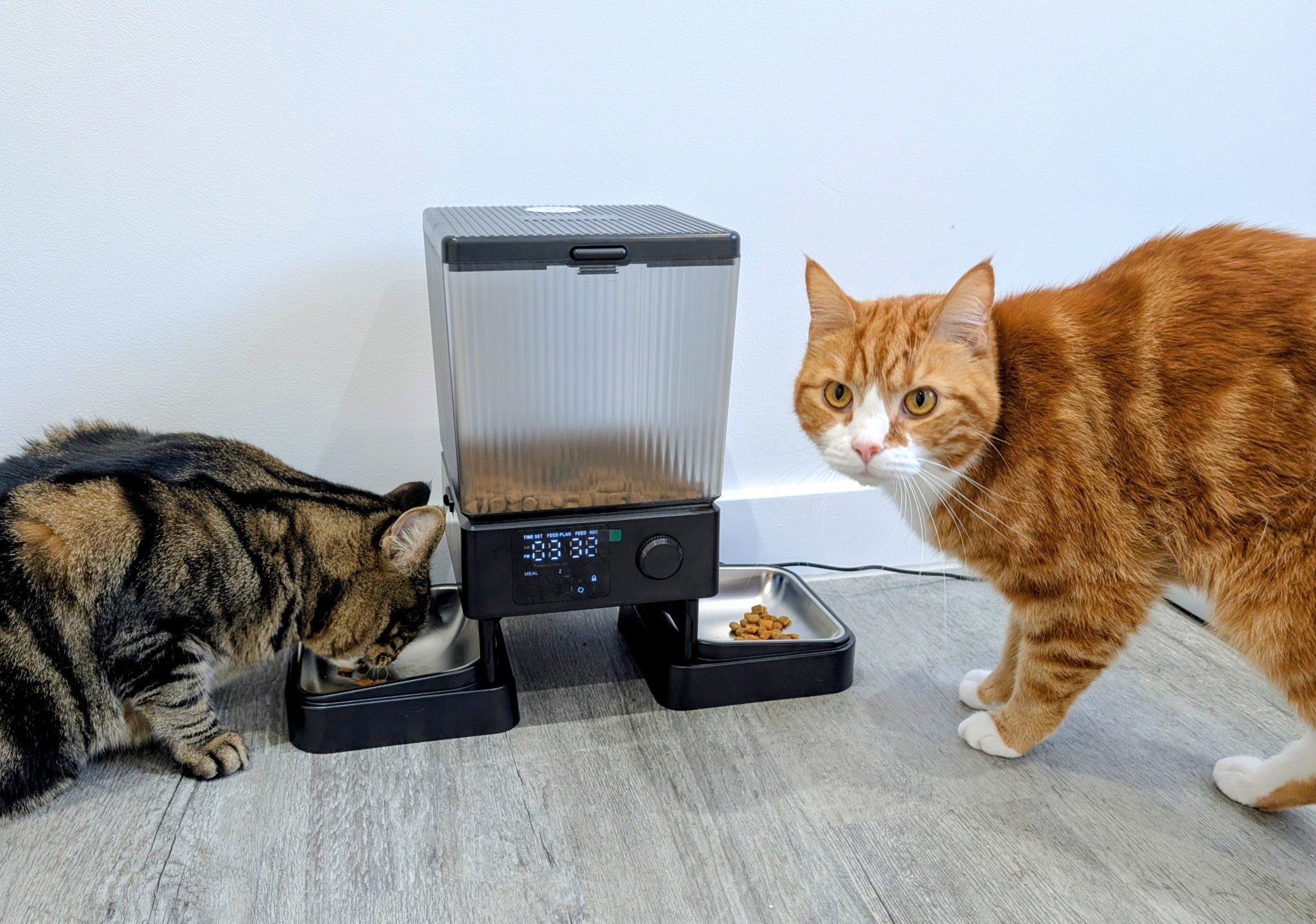 Oneisall Auto Feeder