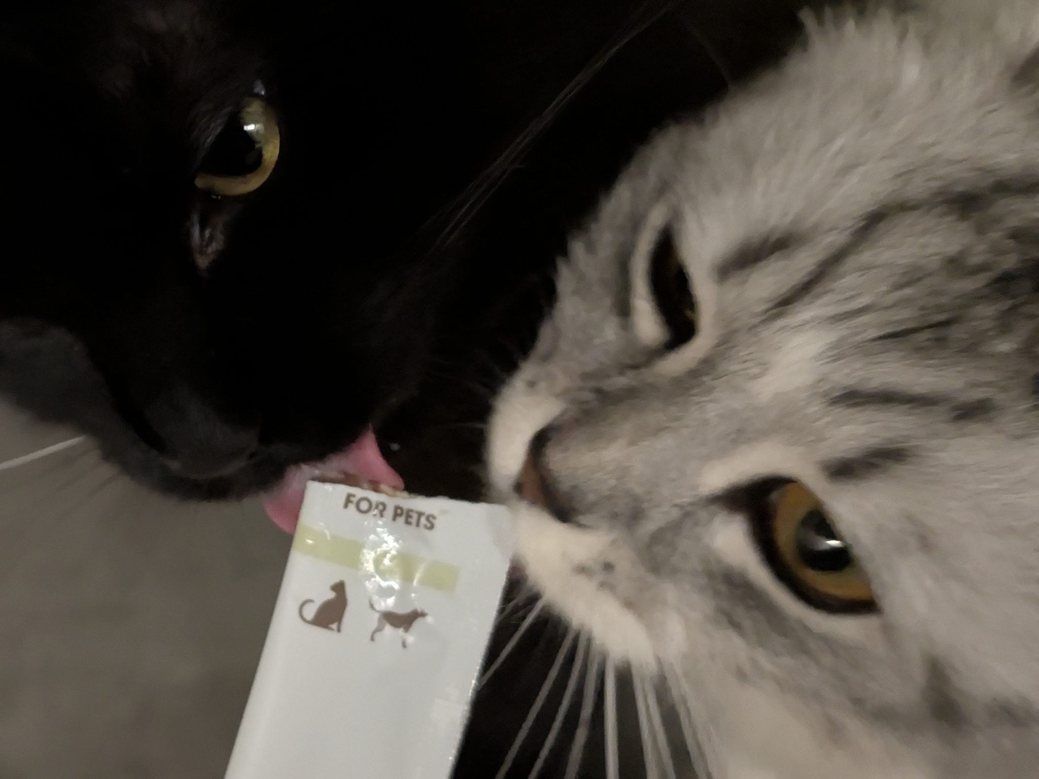 Licky Treats_ A Scientific Investigation into the Tube-Based Delights Taking Over Modern Cat Households 3