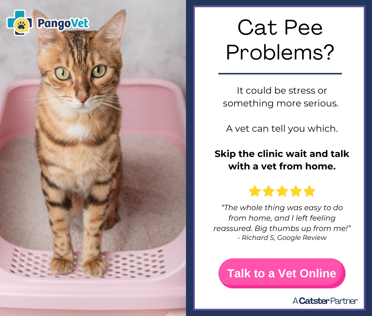 PangoVet_Mention-in-Content for PangoVet2 save money