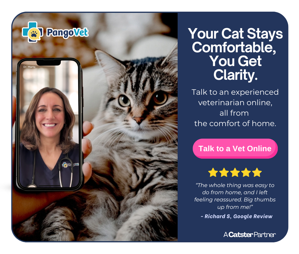 PangoVet_Mention-in-Content for PangoVet2 save money