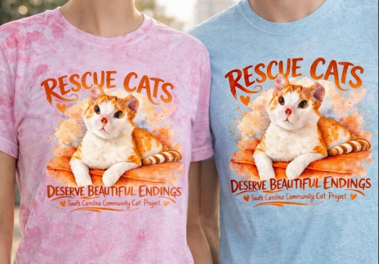 Rescue Cats Deserve Beautiful Endings 2