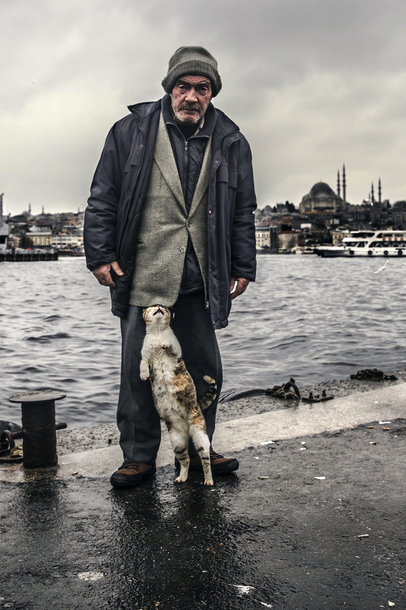 Weekly Mews - Capturing Catstanbul 16