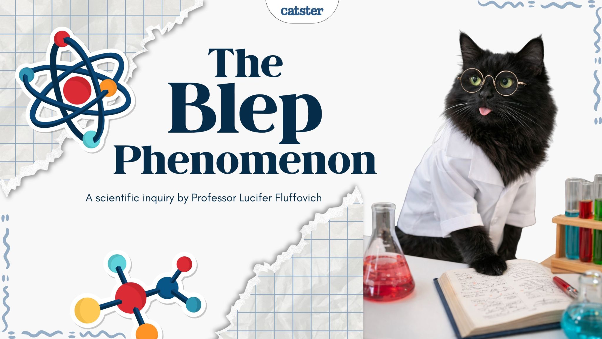 A Scientific Inquiry into the Phenomenon of the “Blep”