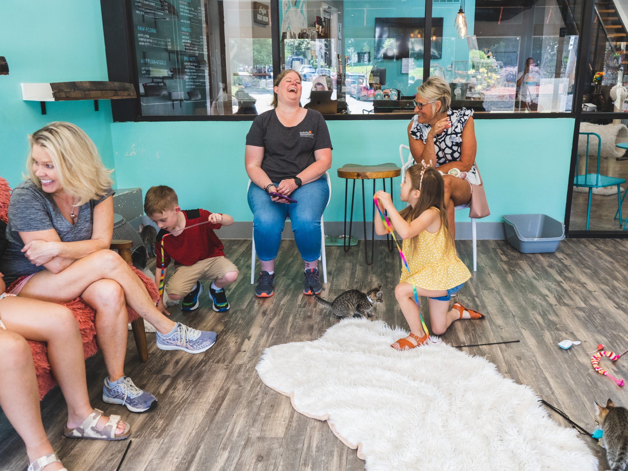 Mixing Business with Charity at the Purrfect Day Cat Cafe - DSC07340