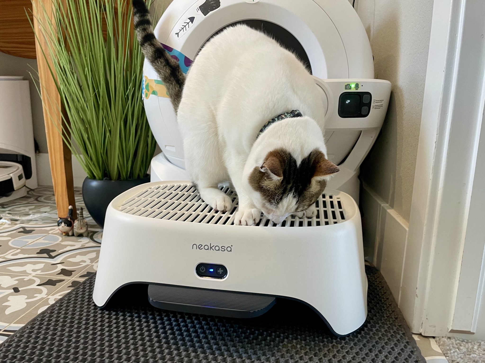 Neakasa AirStep Odor-Eliminating Cat Litter Box Step Review 7