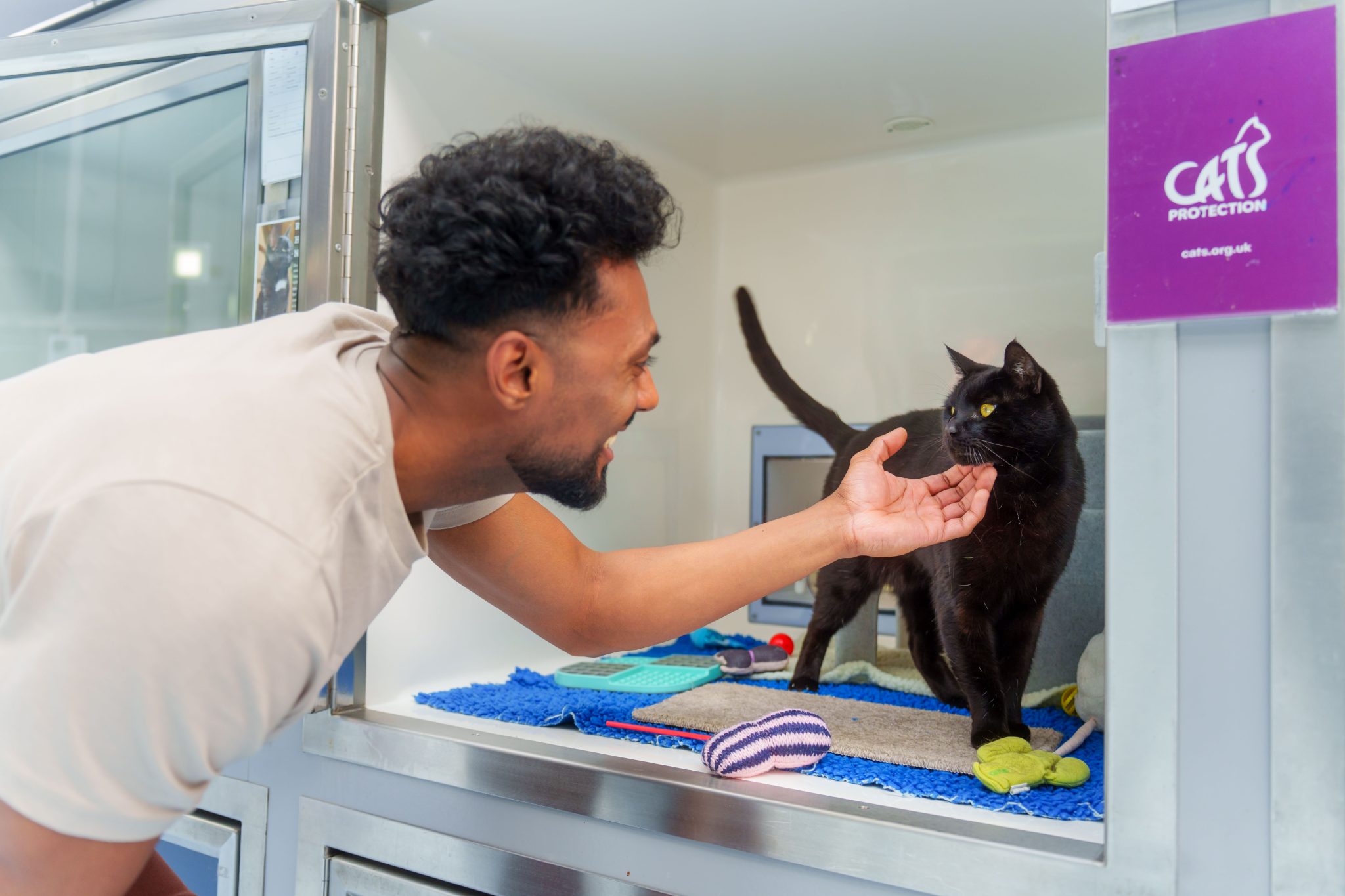 A Century of Helping Cats_ Inside the Work of Cats Protection 1