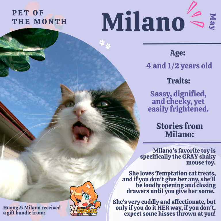 CAT POTM - June Winner