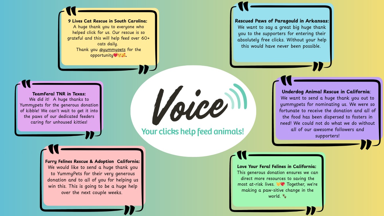 Charity quotes