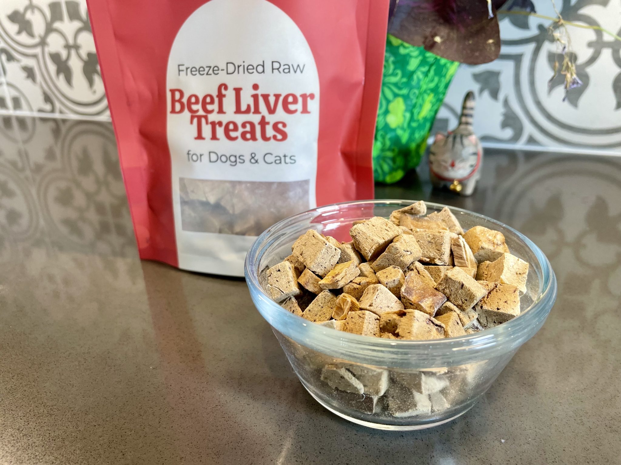 Darwin’s Pet Cat Food Review 2026_ Pros, Cons & Final Verdict 3